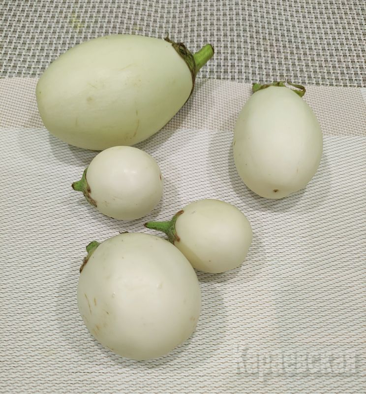   :    