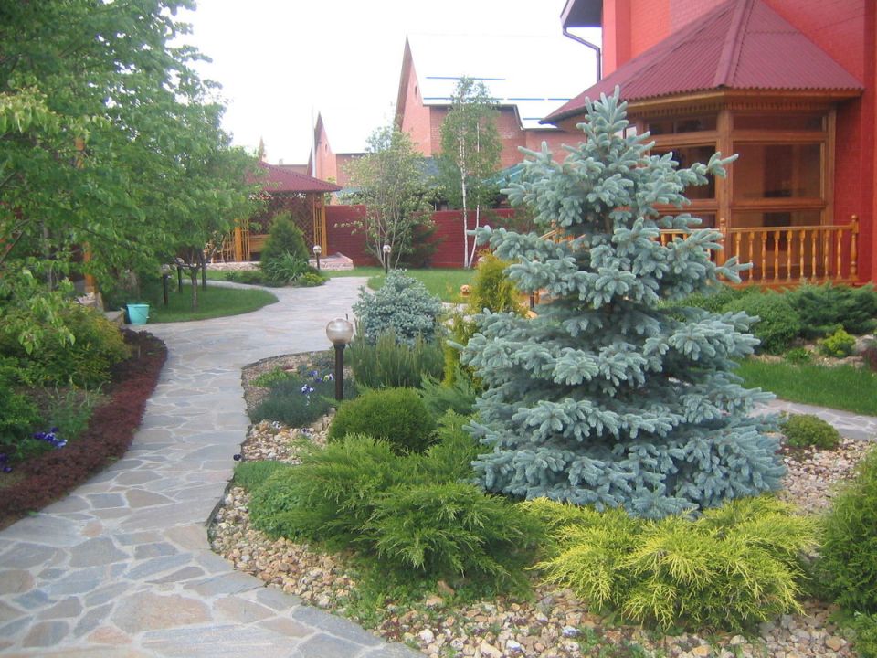      :   Green Space