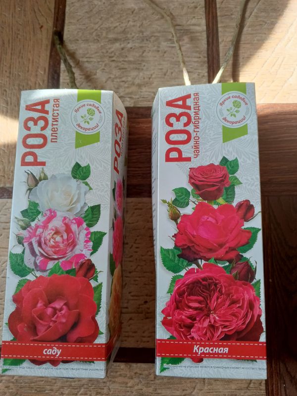 Неожиданные находки в магазине: две розы за 160 рублей