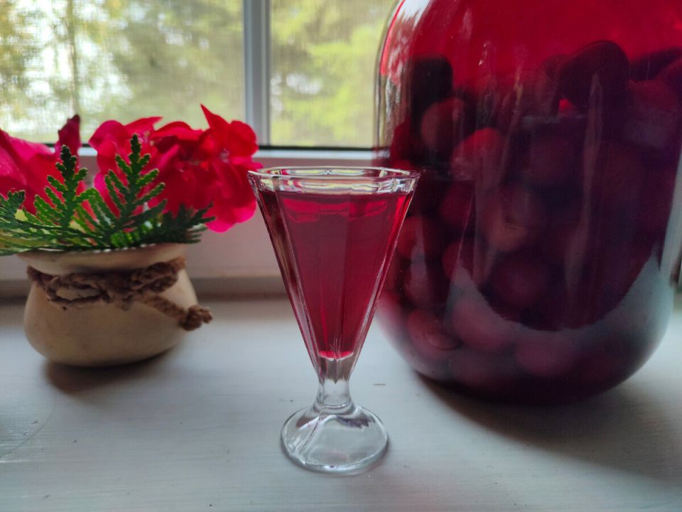 Как приготовить домашнюю ягодную наливку: секреты ароматного напитка