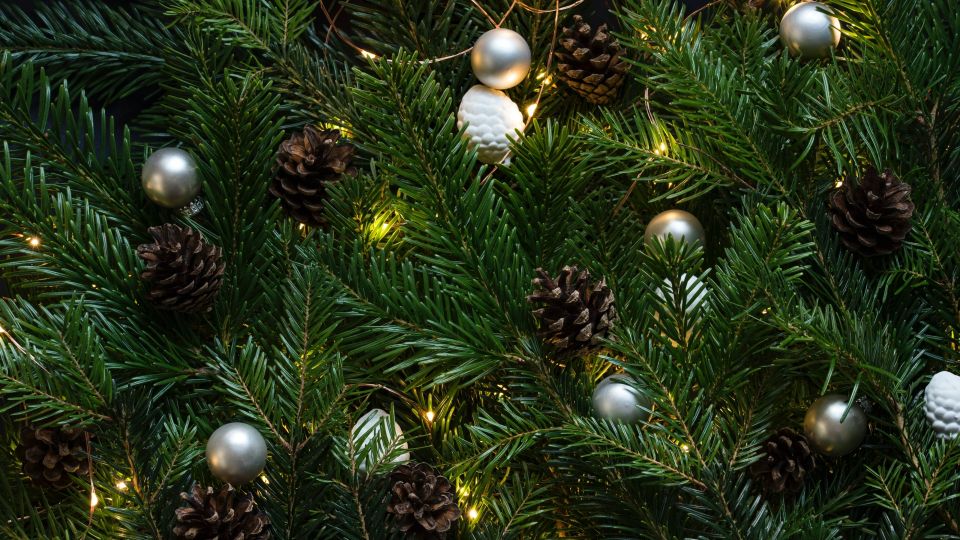 Ни одной иголки на ковре не останется: аптечное средство поможет быстро собрать опавшую с елки хвою