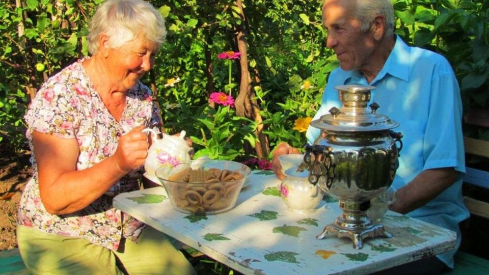 Как подготовиться к дачному сезону: три важных шага, чтобы избавиться от лишних забот