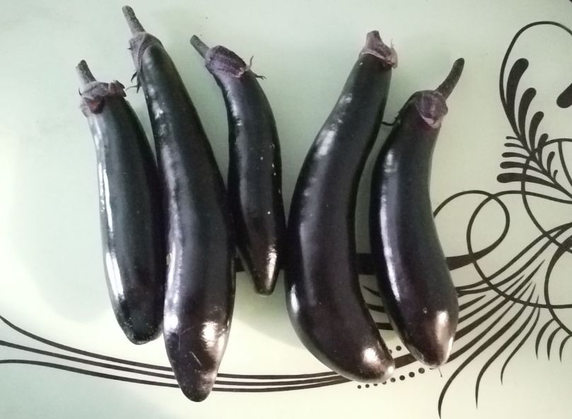 Секреты успешного выращивания баклажанов в Сибири