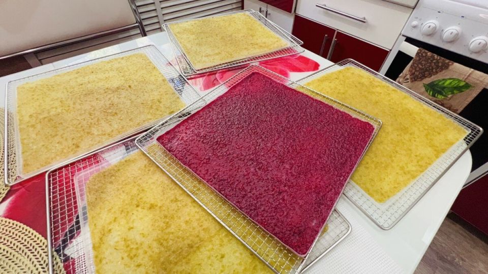 Домашняя пастила: вкусное и полезное лакомство из сезона фруктов и ягод