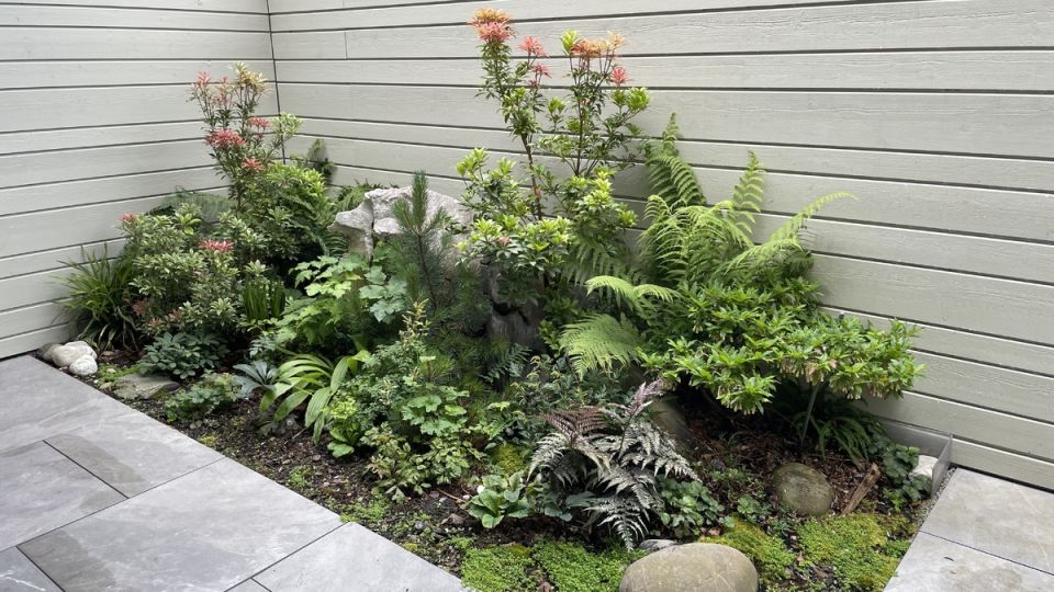 Как создать теневой сад для круглогодичного наслаждения природой