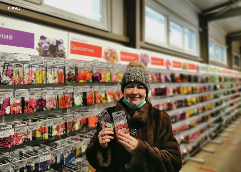 Садовые новинки: как выбрать идеальные семена для вашего цветника