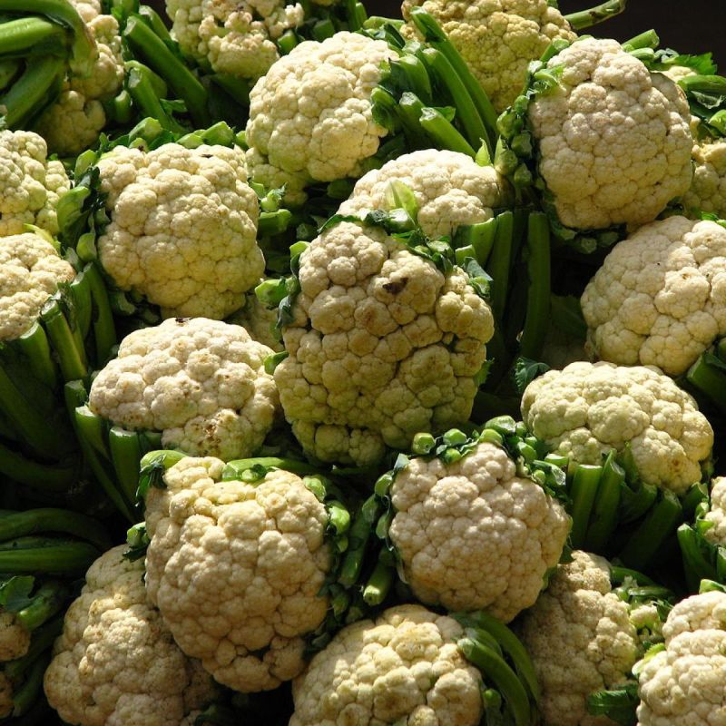 ��� �������� ���� �������� �� ���: ������� � ����������� ������� ��� ��������