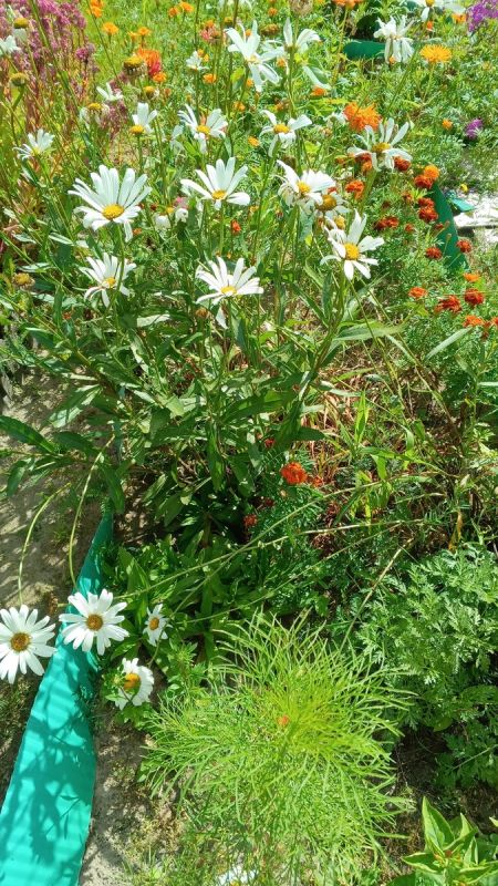 ��������� ������� ���������� �� �������� �����: ������� � �������������