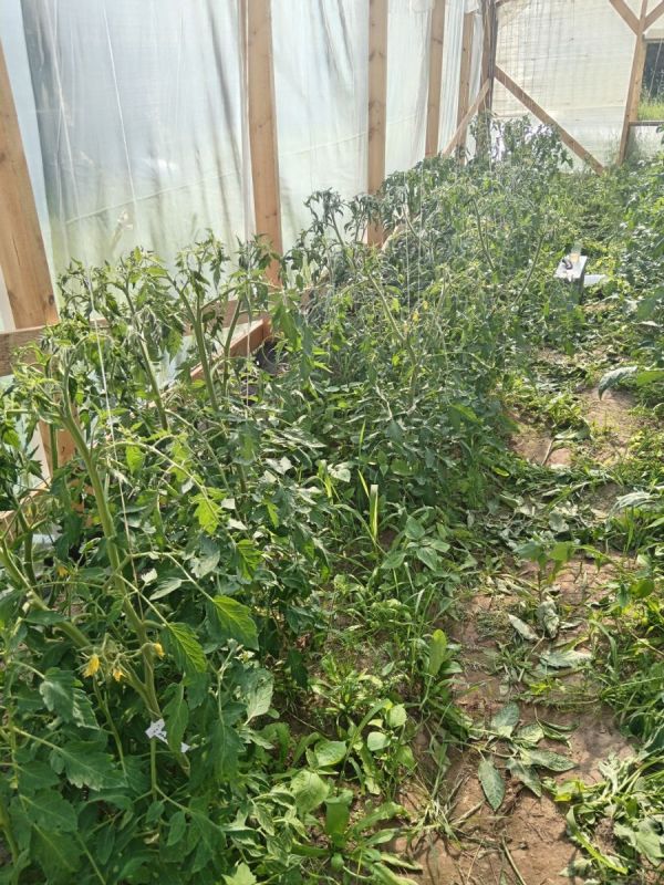 ��� ��������� �� �������� � ������� � ������ ����