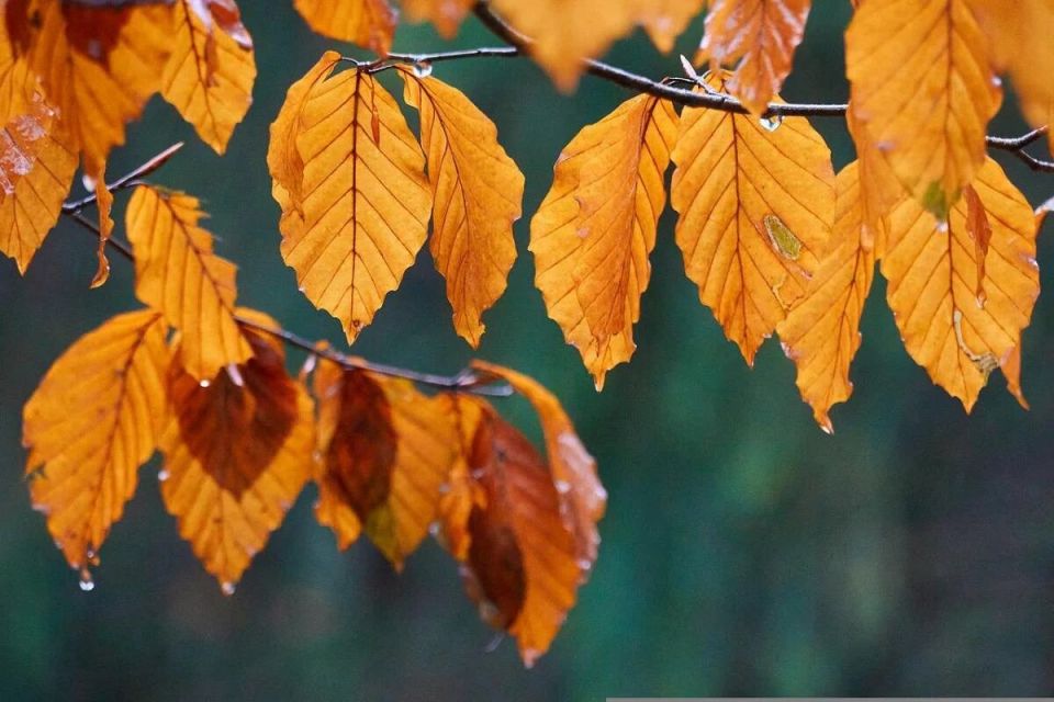 ������������ ��������: ��� 15 �������� �������� ���� ������