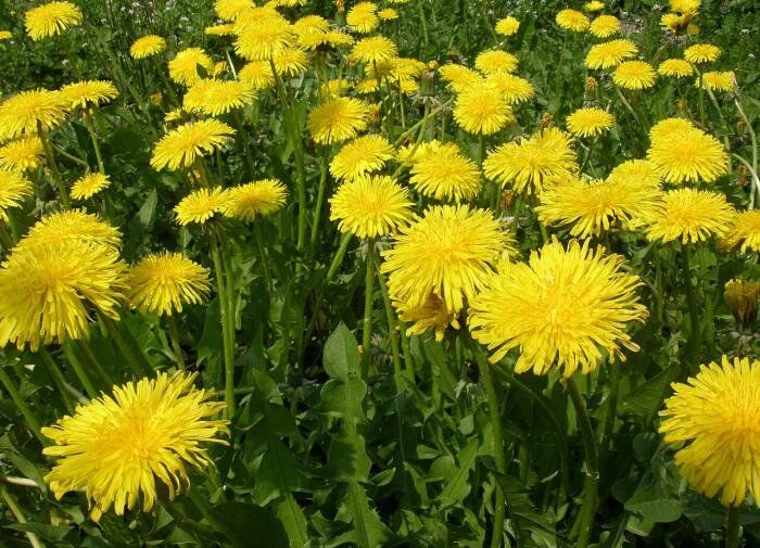 ������ � ���������: �������� ������ ��� ���������� ���������