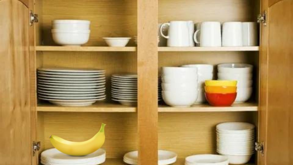 �� ����� �������� �����: ����� ������������ ���� �������