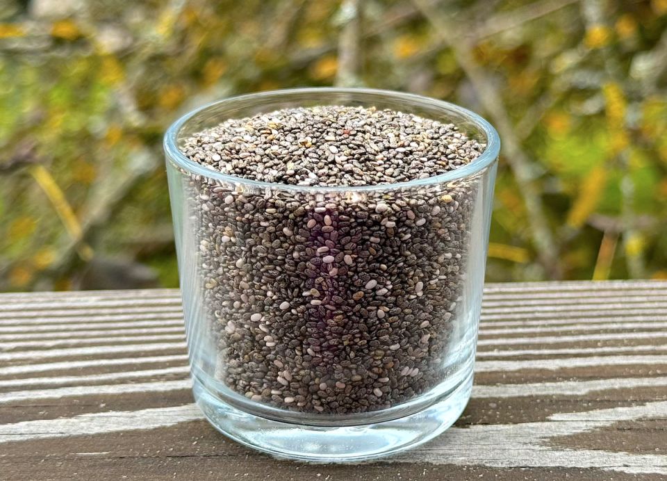 ����������� ������ �� ����� ���: ������������ �����������