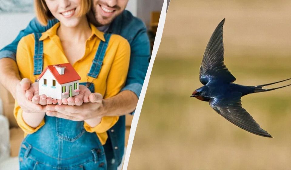 ��� �������� ������ �������� ����� � �����: ������� � ���������