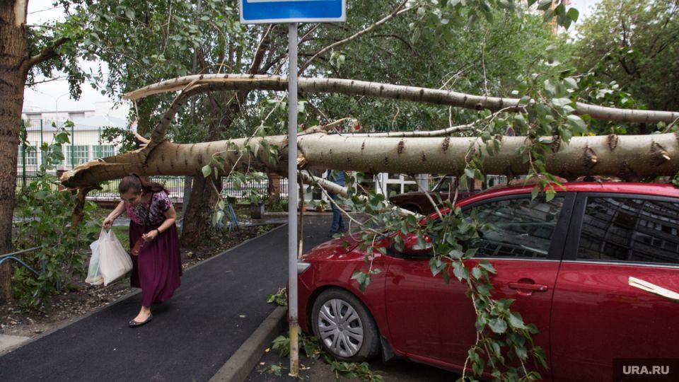 ��� ������� ��������������� �� ������������ ������� ����������? ���������� ������ ���� �� �����������