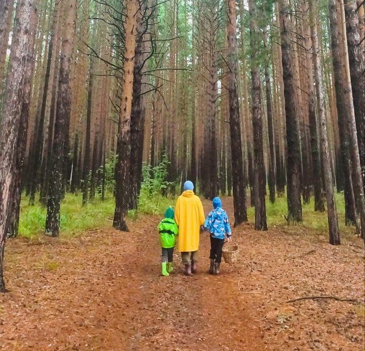 72 ���� � ����� �������: ������ ��������� �������� �������