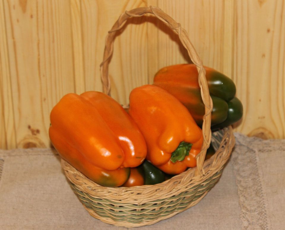 ����� '�����': ��������� ���� � ����� ����������� ��� ������