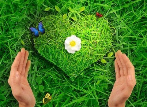 ��������� ��� �������: ��� ����������, ����� �� ����������?