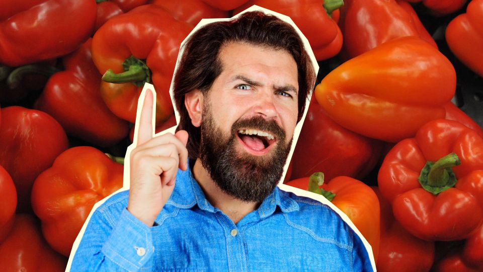 ��� ��� ������ ������� ����� ����� � ������������: ��� �� ��������� � ��� ������