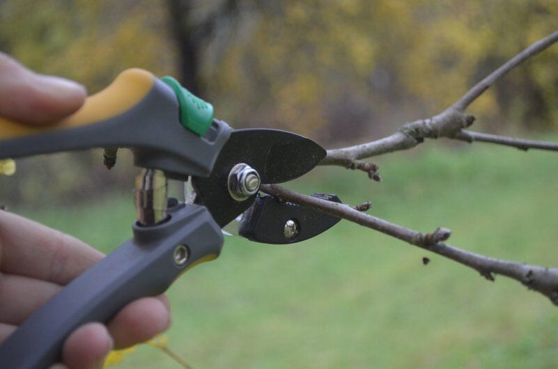 �������� ������� ������: ������� ��������� ����� �� �������