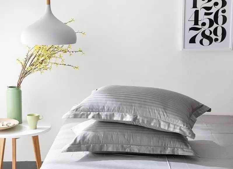 ������� ������ ���������: 5 ���������� ���� ��� ��������� �����