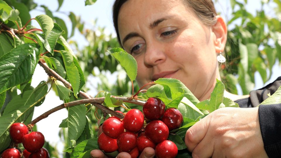 ����� ������ ���� ��� � �� �������: ��� ��� ����� �������� �� ������� � �����