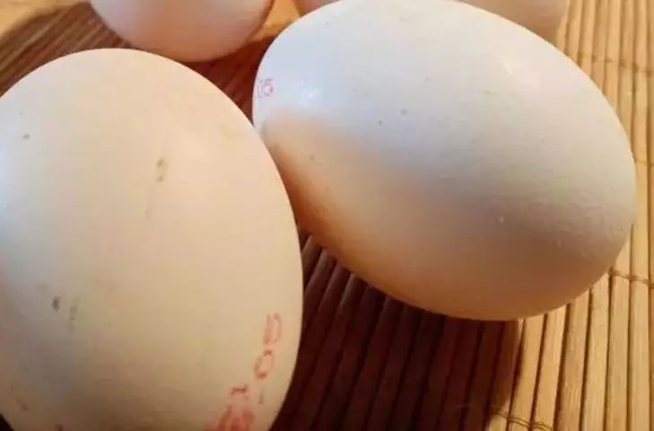 ��� ����, ��� ���� �� ����������: ����� ��� 5 ���������, � ��� ������ ���� ��� �������� � �������