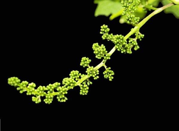 ����������� ������ ���������: ������� ��������� ������