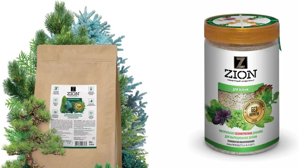 ��� ���������� ��������� ������ ����: �������� � ������������ ���������� � �������