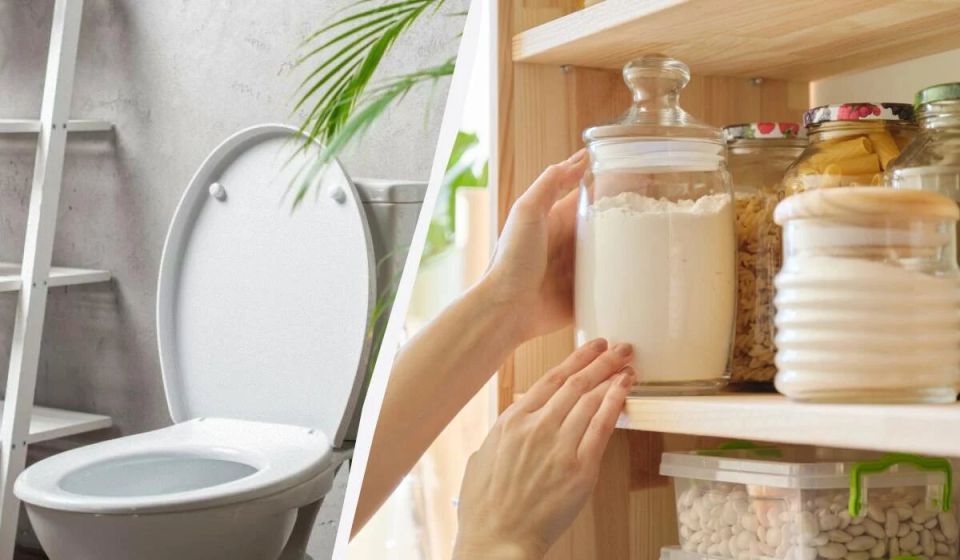 ��� ���������� �������� ������ �� ������� ������ ������