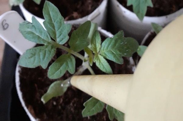 ������ ������� ������? ��������� �������� ������� � ���� ��������.