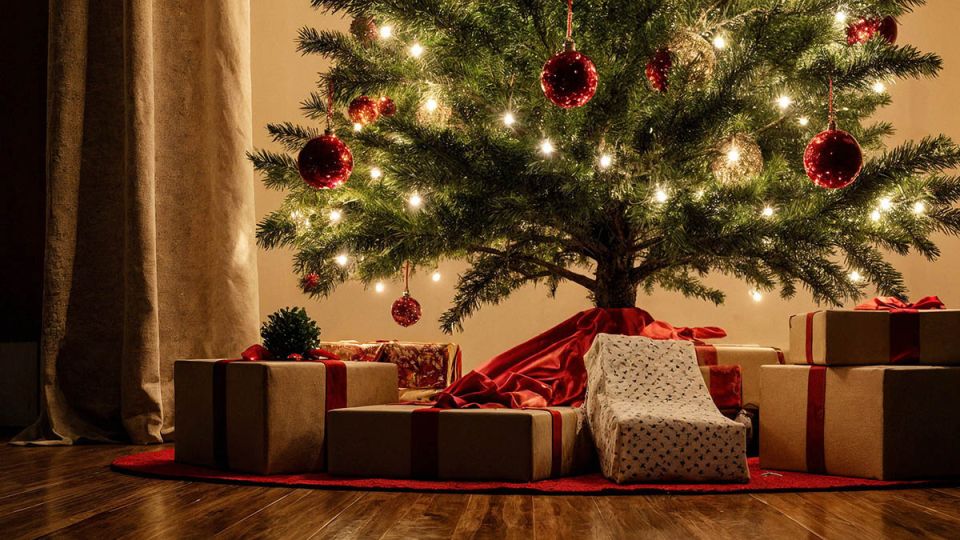 ������ ���������� ������� 2026: ���������� ���� ��� ������ � �������