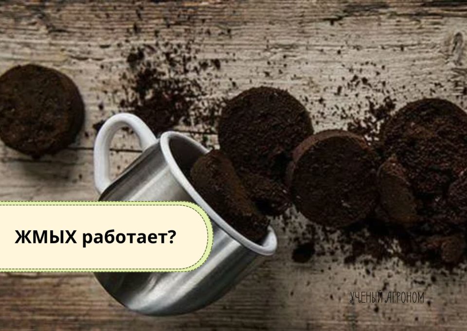 �������� ���� � ���� � �������: �������� ������ � ���������������� ����