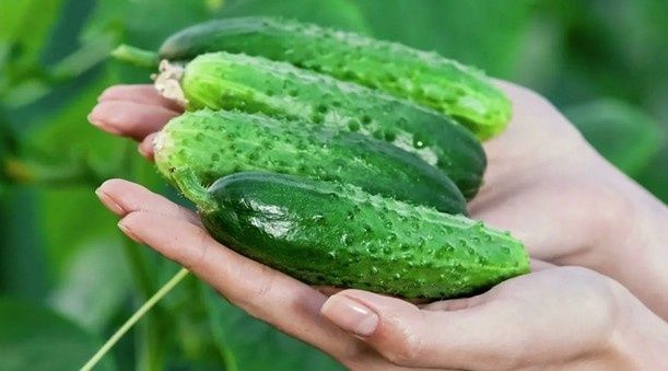 Приготовьте хрустящий салат из огурцов на зиму, который не оставит равнодушным