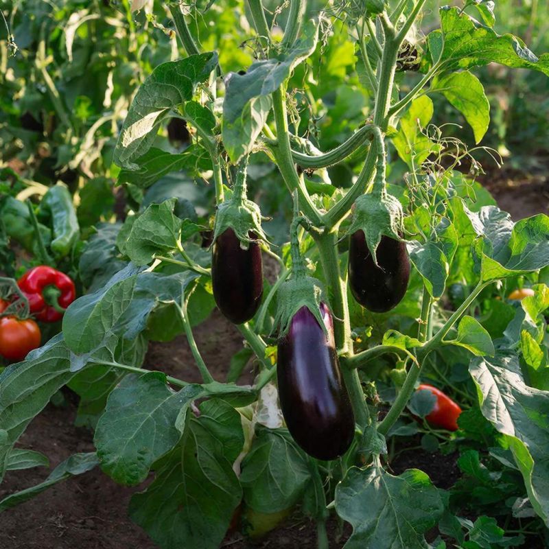 ���� � ����: ��� ��������� ������������� ��������� ��� �������� ������