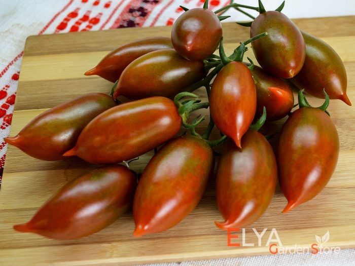 ������: ������ ���� ������ � ���������� ������ � ����� ��������