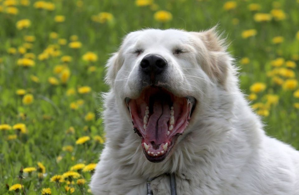 ����� ����������� �� ���������� ���������� �������� ������� ���� � ����� ������������� �������