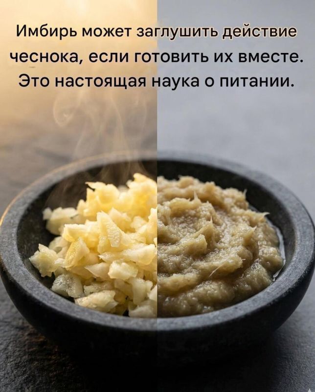 ������ � ������: ���������� � �������������� ������ � ������� � ����