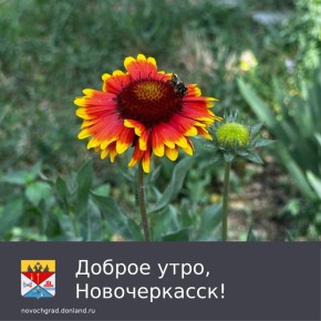  . ,               