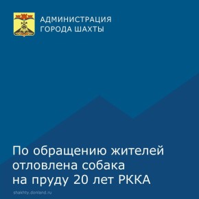         ,       20  