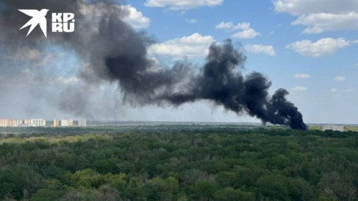 Наши читатели сообщают, что прямо сейчас в районе Темерницкой рощи пожар