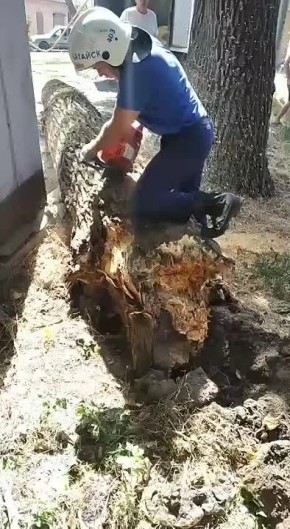 На Ростовском оперативно ликвидировали последствия падения дерева
