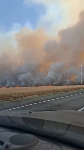 В соцсетях публикуют кадры полыхающего поля в Ростовской области