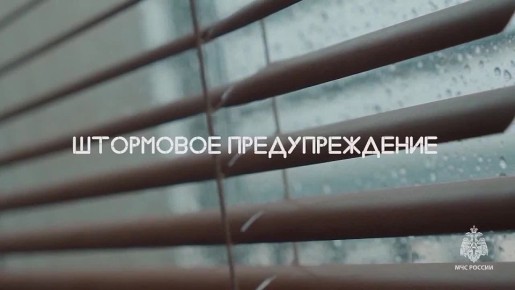 ! !.   11:00     16       ,   ,      20-24 /