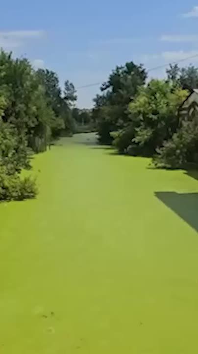 &quot; ,  &quot;:      