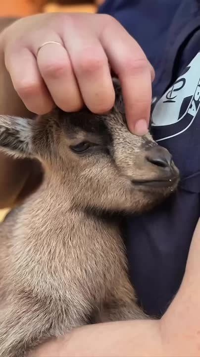   !.          &quot;&quot;