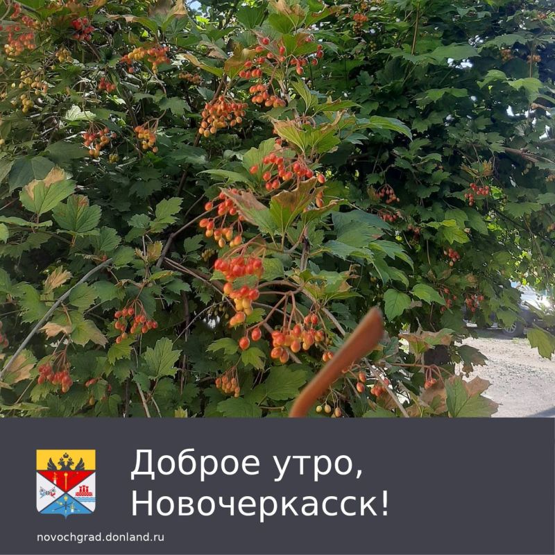  ,  !