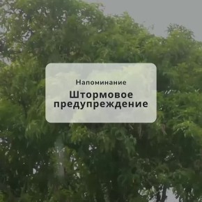  !. 27         :  ,     ,     20-25 /