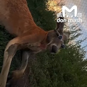           &quot;&quot;