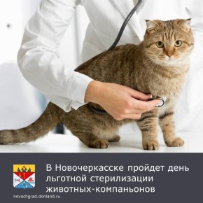  ,      ,      -
